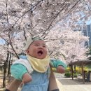 273 | 9개월 육아(273일~280일) / 후기이유식 시작, 이유식3끼언제, 이유식3끼스케줄, 후기이유식스케줄, 이이...