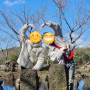 앞돈지 | 제주도 여행 2일차! (콜린 제주/앞돈지/동화마을)