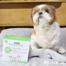 유진상사19