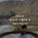 [뉴질랜드/남섬]퀸스타운 가볼만한 곳 총정리::관광지,맛집,쇼핑 모음