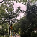 고덕동치킨 쏠피치 서울상암점 : 저렴한 가성비 치킨 추천
