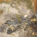 경서중학교 이미지