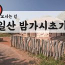 햇살로105번길 이미지