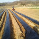 윤형농장 이미지