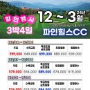 선파인