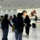 바톤 오토서비스 | 도쿄 Day 1 (에어재팬 후기, 신주쿠 워싱턴 호텔, 도쿄 후운지 츠케멘, 토리시게 야끼토리, 수하물 무게...