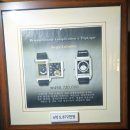 정동진시간박물관 | 강릉 아이랑 가볼만한곳 정동진 시간박물관 모래시계공원 전망대