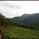 진고개약국 이미지