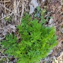 응달농장 이미지