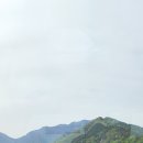 (주)디안테