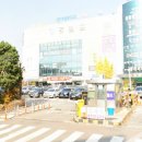 월드7080라이브 이미지