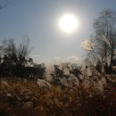 장다리천 이미지