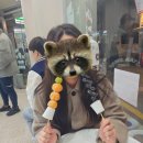 현욱농장 | [거꾸로 쓰는 일기] 갓생을 살고싶은 걍생의 가을