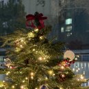 엠알아이 | 첫 번째 유방암 일기_20대젊은유방암_난자냉동후기_첫항암