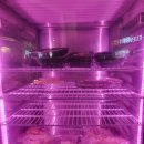 사람사는고깃집 김일도도곡점 | 강남 매봉 삼겹살 돼지고기 맛집 김일도 도곡점 구워주는 집