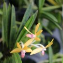 유리농장2 이미지