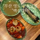 영도분식 | 부산 영도 맛집 백설대학 분식집 솔직후기 (내돈내산)