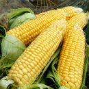 칠전동길3 이미지