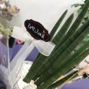 덤앤덤쪽갈비대청점 이미지