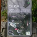 아차산 동행숲길 | 아차산의 새로운 도보길, 아차산동행숲길 (아차산어울림정원, 서울둘레길5코스, 아차산 소나무숲)