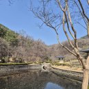 서인공원 | 대전 산책하기 좋은 곳 우암사적공원 벚꽃 목련 개화시기