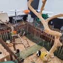 로던트클럽 화정 본점 이미지