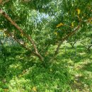 율어농장 이미지