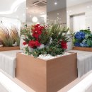 이태원정형외과의원 이미지