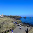 섭지코지 이미지