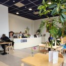 현대미술관 | 네덜란드 현대 미술관 'COBRA' 후기