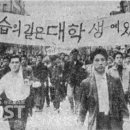 419 Daum카페