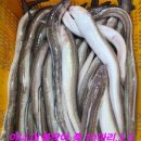 임여사수산 이미지