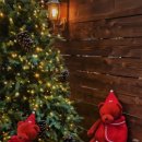 현대썬앤빌대구 정문 앞 | 더현대 대구 크리스마스 팝업 후기｜눈내린 숲속 공방 &amp;해리 상점 웨이팅팁 포함!