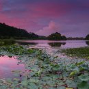 와우호수공원 이미지