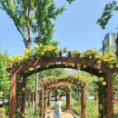 세븐일레븐 대구중리체육공원점 이미지