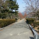 영락도서관 이미지