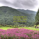 성호공인중개사사무소 이미지