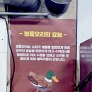 띠뚱띠뚱오리집