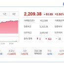 (주)셀루메드 네이버블로그