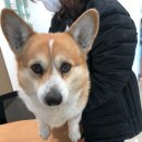 충청대로 이미지