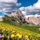 원화로6(북) 이미지