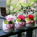 오이식탁 이미지