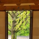 남한산성토종닭 이미지