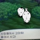 CU함양뉴그린 | 비 온 뒤 땅의 향기