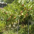 진관3리 이미지