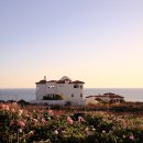 언덕위의하얀집 이미지