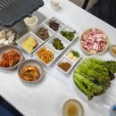 낙원정 티스토리