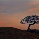 물음표광장 앞 이미지