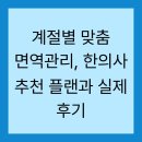 계절별 맞춤 면역관리, 한의사 추천 플랜과 실제 후기