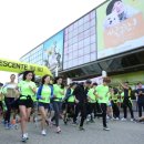 대공원광장대로 이미지